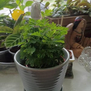 Teresa added a photo of their purchase