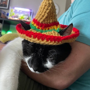 Cat Sombrero Crochet Pattern Crochet 