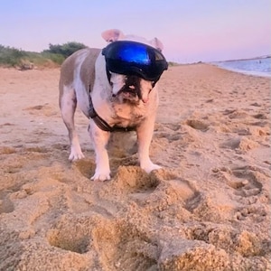 Gabriela added a photo of their purchase