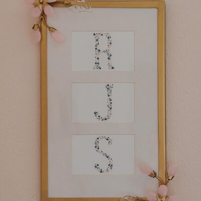 Premium Birch Tree Clipart & Vector Set Birch Tree Clip Art, Birch ...