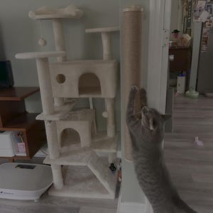 Wendi added a photo of their purchase