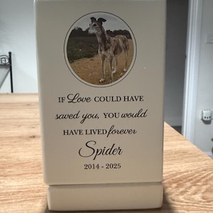 Amy added a photo of their purchase