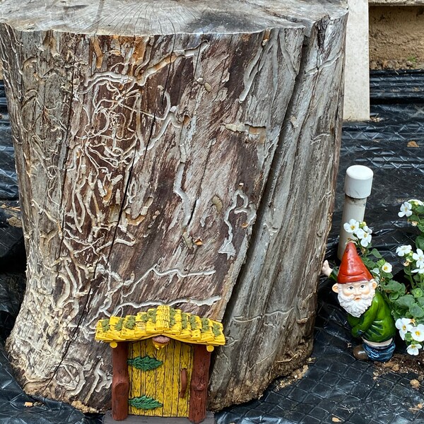 Woodland Fairy Door - Etsy