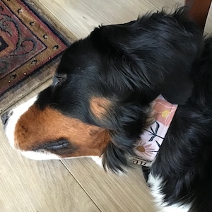Jules ha añadido una foto de su compra