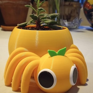 Paprika added a photo of their purchase