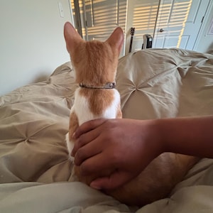 shandyn added a photo of their purchase