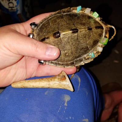 Snapping Turtle Shell Maraca Rhythm Percussion Instrument - Etsy