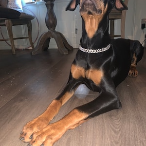 Silver Iced Out Cuban Link Dog Chain Custom Dog Chain Handmade