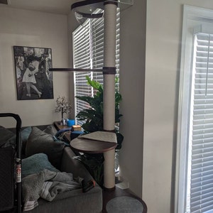Tiffani added a photo of their purchase