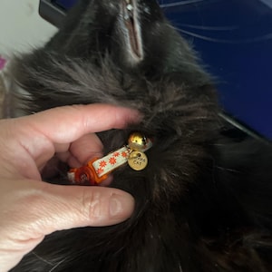Rachel added a photo of their purchase