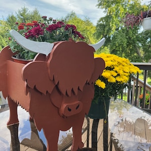 Lisa added a photo of their purchase