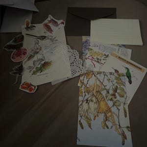 Josy heeft een foto van de aankoop toegevoegd