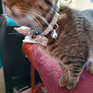 Sarah added a photo of their purchase