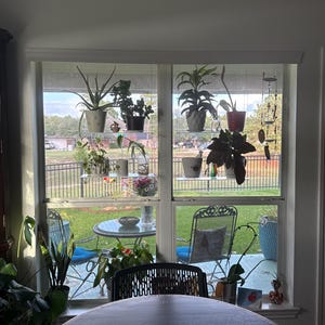 Nora added a photo of their purchase