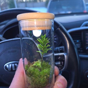 Nick added a photo of their purchase