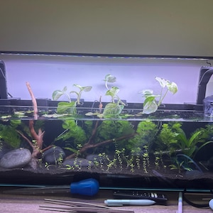 Shannon added a photo of their purchase