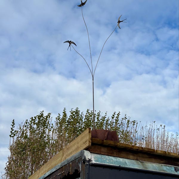 Vaso Con Felce Artificiale Per Decorazione - Best Pet&House - Foto 10