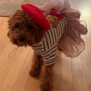 Agnes ha aggiunto una foto del proprio acquisto