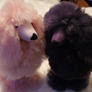 Teila hat ein Foto des gekauften Artikels hinzugefügt