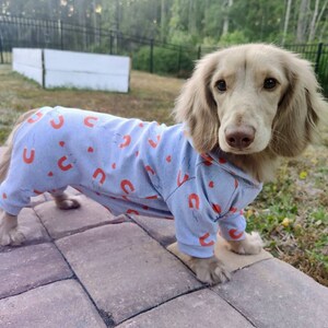 Dachshund Clothes Sewing Pattern BUNDLE Pajamas for Sausage Dog Clothing Dachshund Clothes for Dogs Weiner Dog Pyjamas for Weenie Dog Etsy