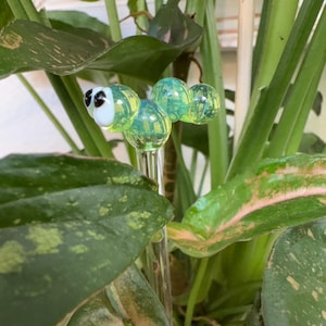 Corey added a photo of their purchase