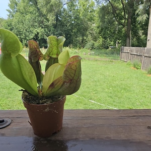Raymond added a photo of their purchase