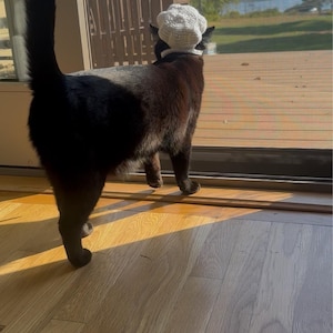 Fiona added a photo of their purchase