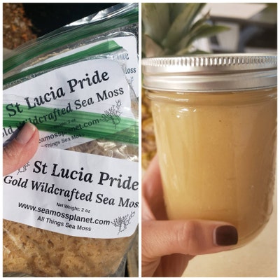 Produktbild von Meeresmoosgel Bio Im Glas, 500 Ml, Wildcrafted In St Lucia, Dr