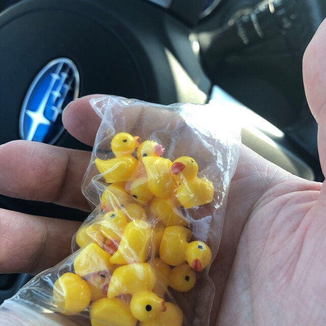10 Canards Miniatures En Résine Avec Bonnet De Noël - Déco Micro Paysage, Maison De Poupée, Plantes