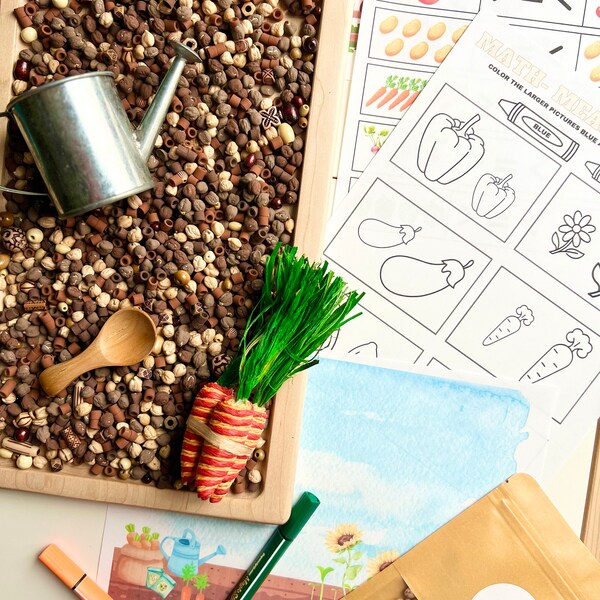 Interactive Notebook, Printables, Notebook, Camping Unit - Etsy