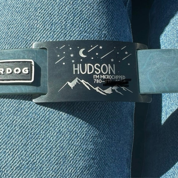 Engraved Stainless Steel Silent Dog Tag – Slide-On Silicone Collar Tag For Pets