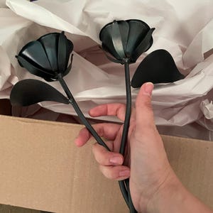 Ashley added a photo of their purchase