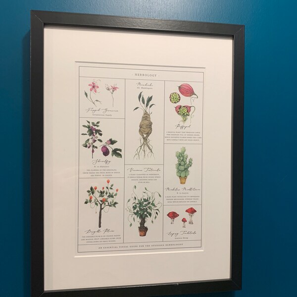 Herbology Chart A4 Print - Etsy