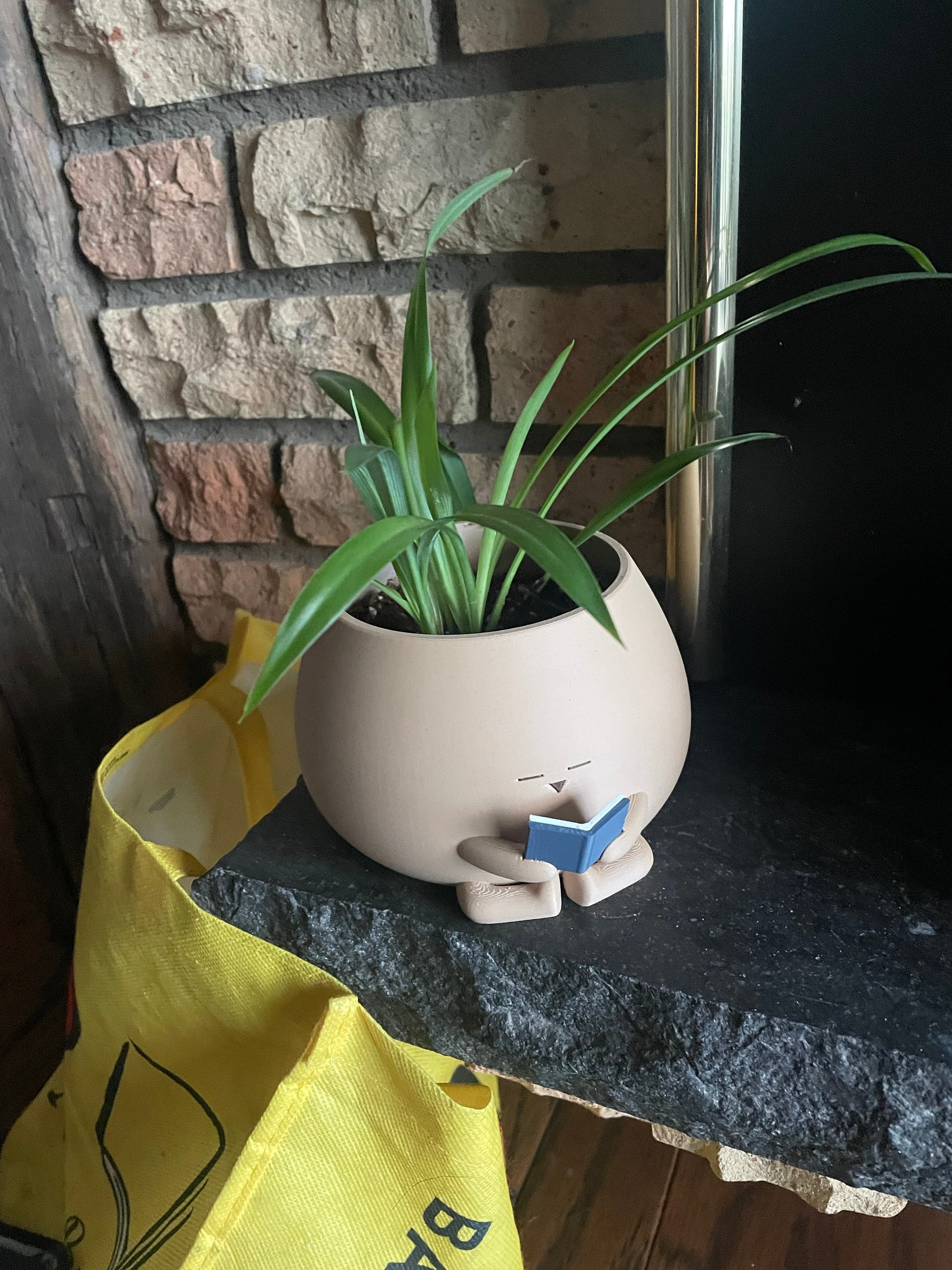 Reading Book Planter Pot, Bookworm Planter, Gift for Book/Plant Lover