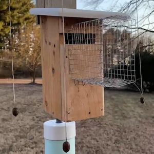 How to Protect Bird Houses from Predators: Essential Safety Tips