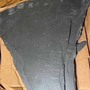 Susan added a photo of their purchase