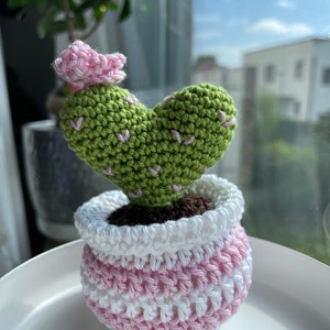 Chantal ha añadido una foto de su compra