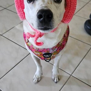 Darcie added a photo of their purchase