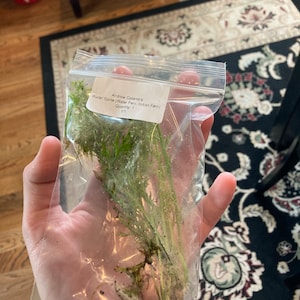 Andy added a photo of their purchase