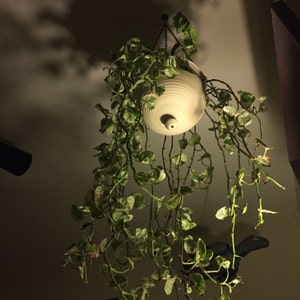 Flo added a photo of their purchase