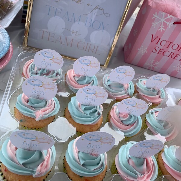 Gender Reveal Cupcake Toppers, Boy or Girl Cupcake Decoration, Twinkle ...