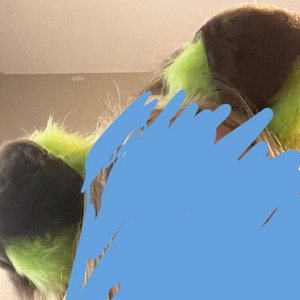 ollie ha añadido una foto de su compra