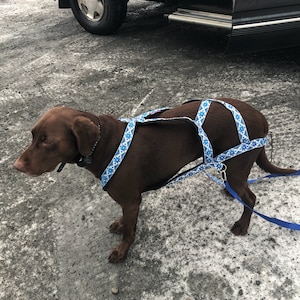 Raven さんが購入した商品の写真を追加しました