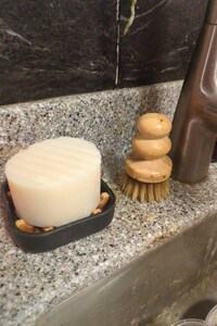 Chaga (Mushroom) Salve + BONUS Chaga Lip Balm