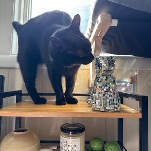 Lori added a photo of their purchase