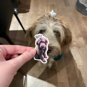 Delphine added a photo of their purchase