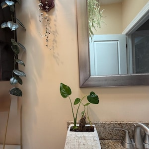 Jennifer added a photo of their purchase
