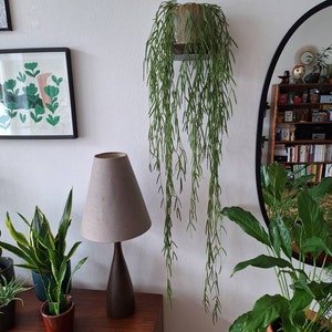 Isolde ha añadido una foto de su compra