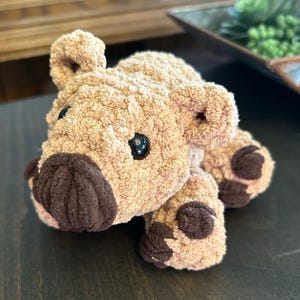 Meg added a photo of their purchase