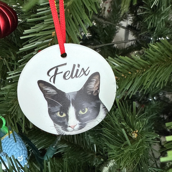 Personalized Black and White Tuxedo Cat Ornament, Custom Pet Portrait ...